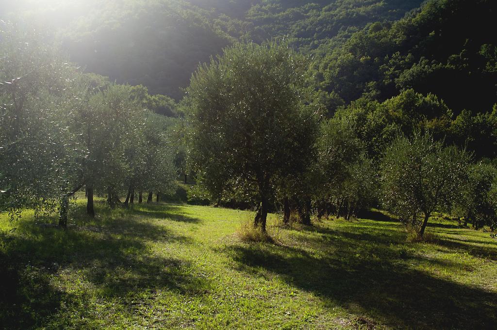 Country Room Il Moro Rignano Sull Arno Exterior photo