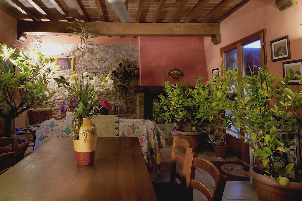 Country Room Il Moro Rignano Sull Arno Room photo