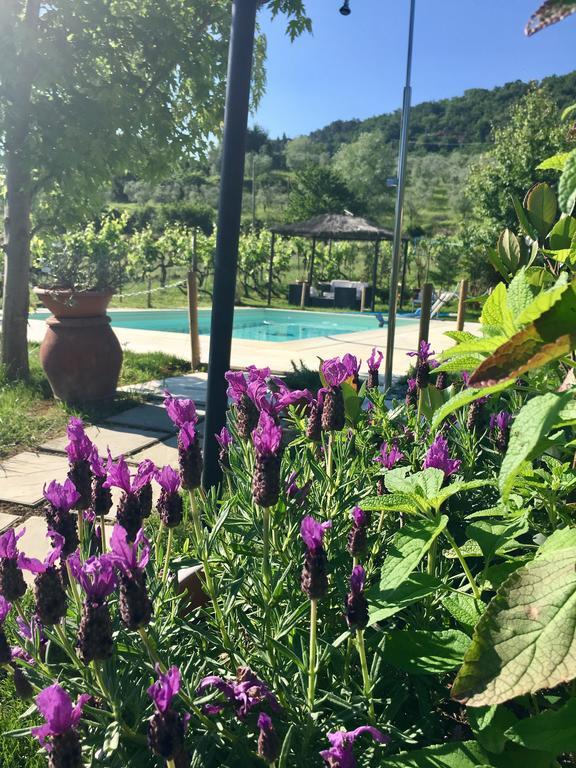 Country Room Il Moro Rignano Sull Arno Exterior photo
